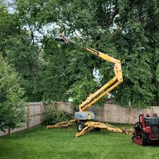 Best Pest Control for Lawns  in Fairfield, AL