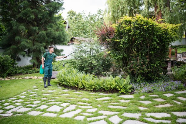 Landscape Design and Installation in Fairfield, AL