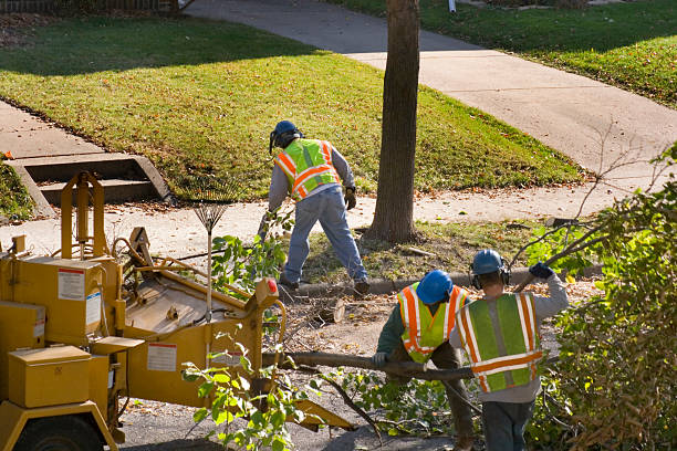Best Lawn Watering Services  in Fairfield, AL
